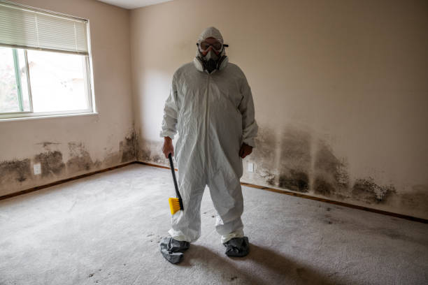 Best Professional Mold Removal  in Newfield, NJ