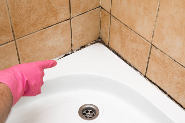 Best Emergency Mold Removal  in Newfield, NJ